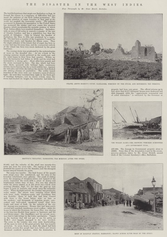 Die Katastrophe in Westindien von English Photographer