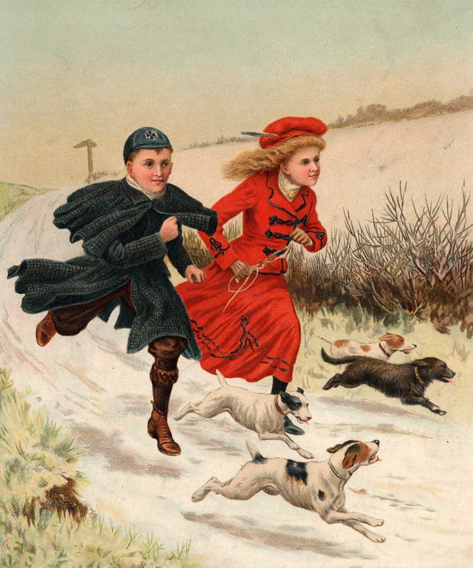 Ein Lauf mit den Hunden von English School