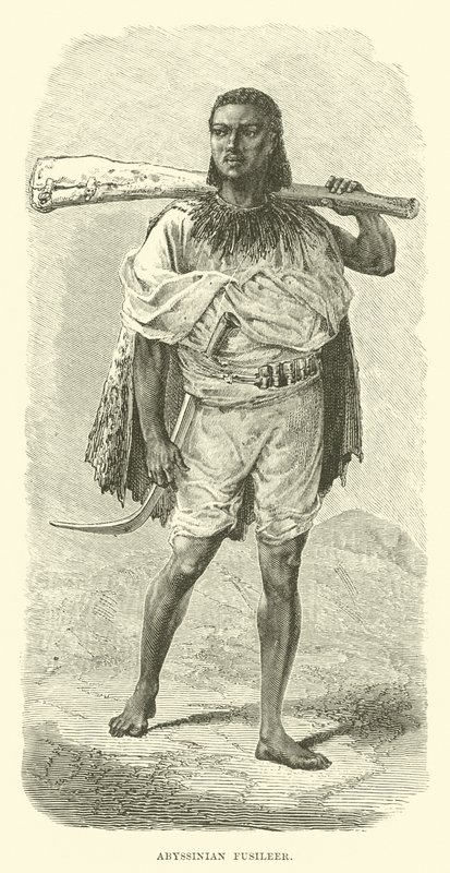 Abessinischer Füsilier von English School