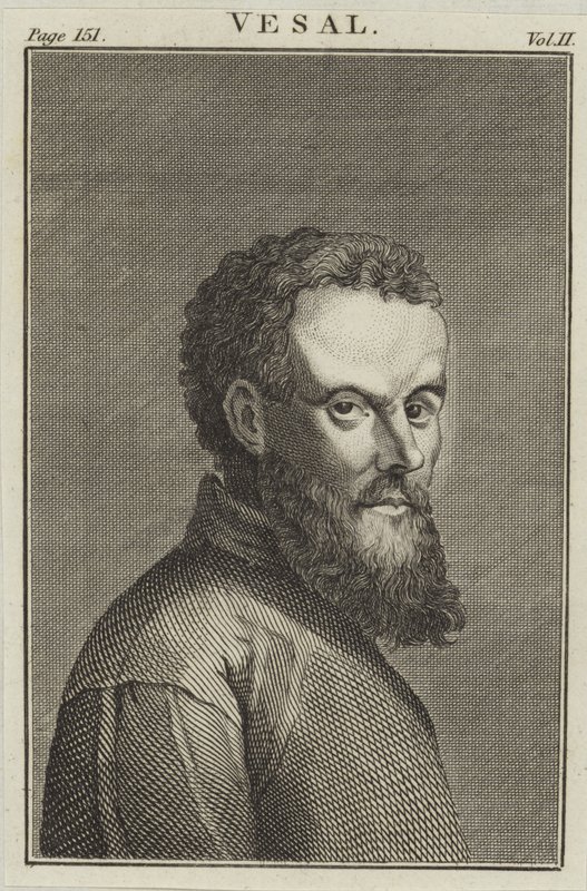 Andreas Vesalius von English School