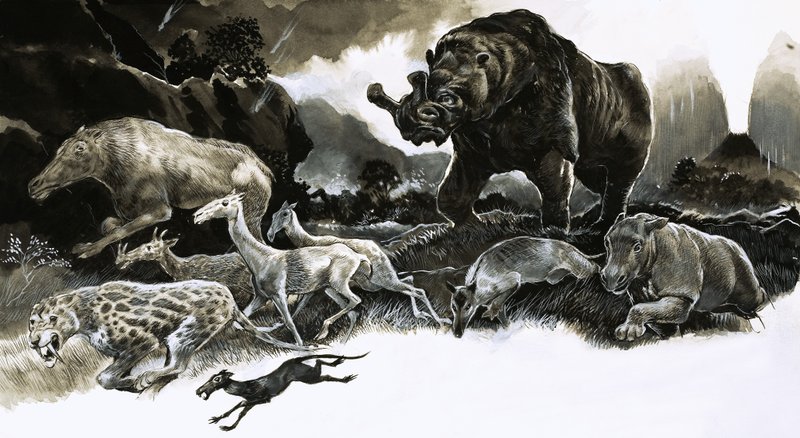 Tiere aus dem Oligozän von English School