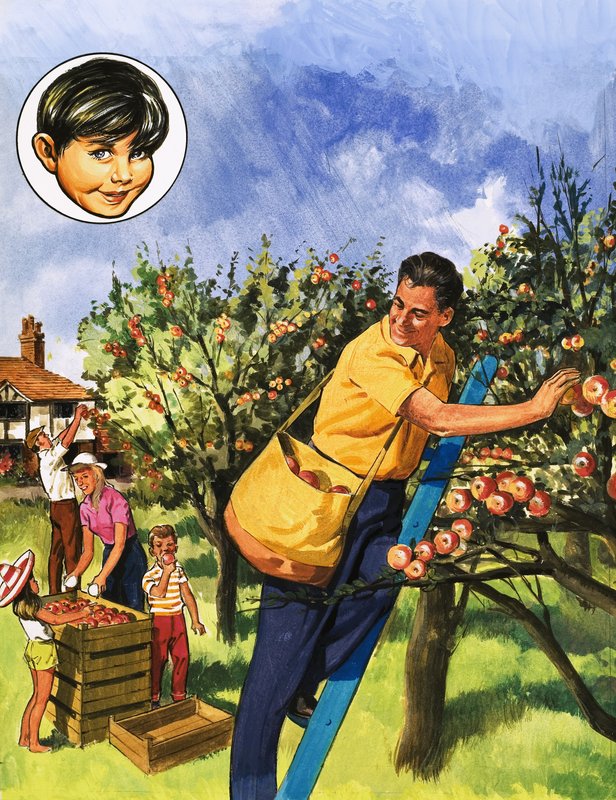 Apfelpflücker von English School