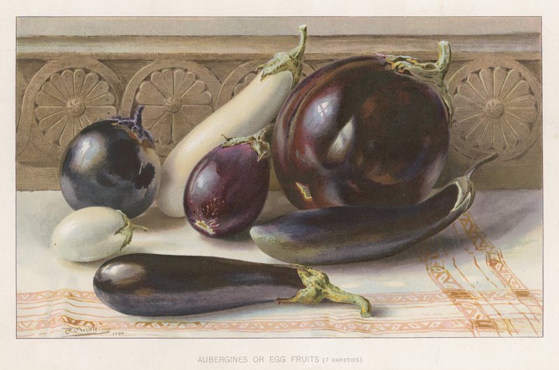 Auberginen oder Eierfrüchte von English School
