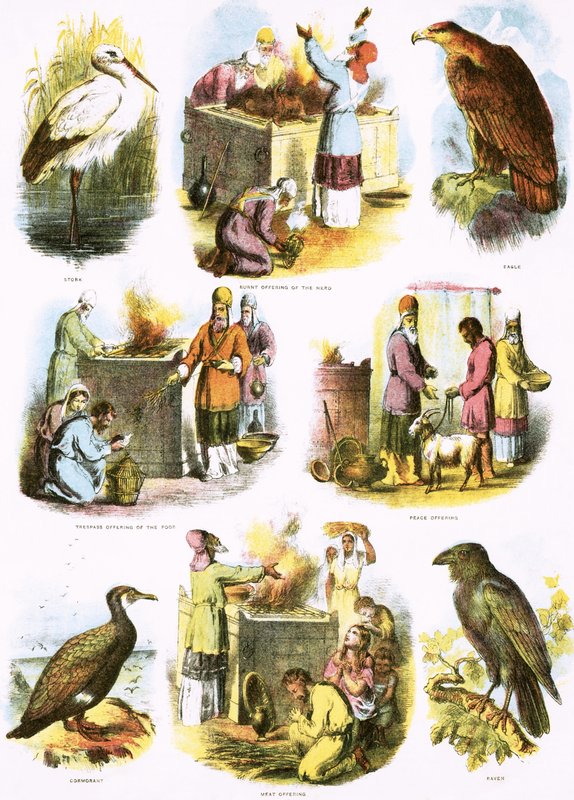 Biblische Illustrationen von English School