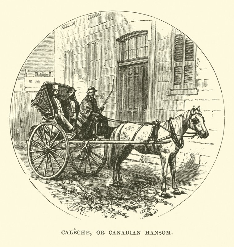 Caleche oder kanadische Hansom von English School