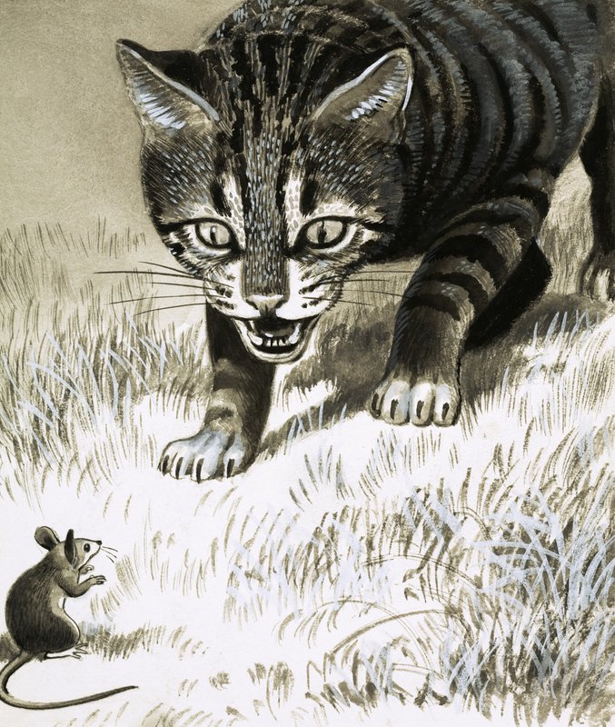 Katze nähert sich Maus von English School