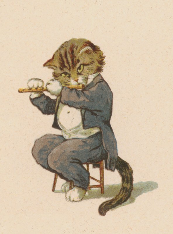 Katze spielt Flöte von English School