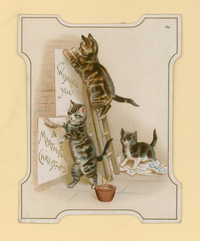 Weihnachtskarten mit Katzen von English School