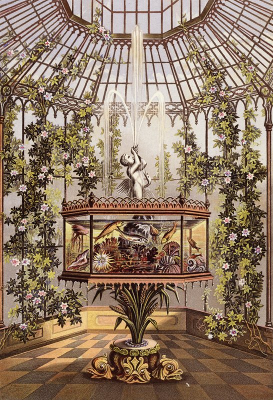Wintergarten und Aquarium von English School
