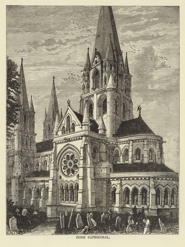 Kathedrale von Cork von English School