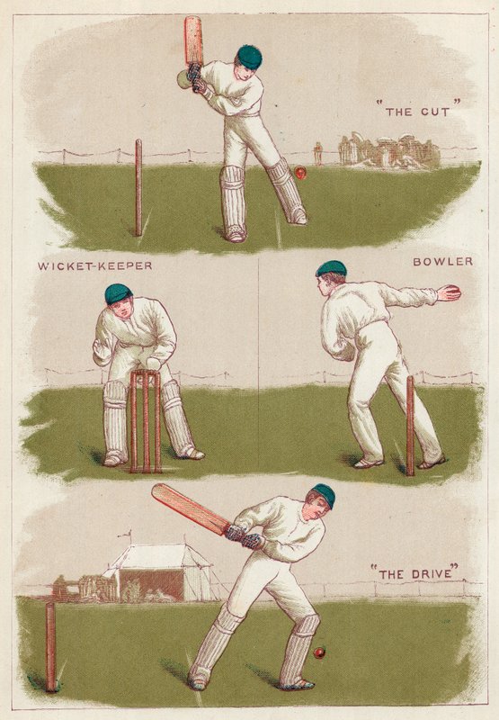 Cricket von English School