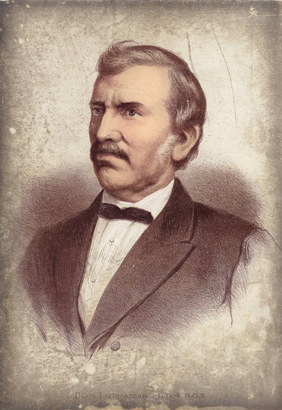 David Livingstone, Entdecker von English School