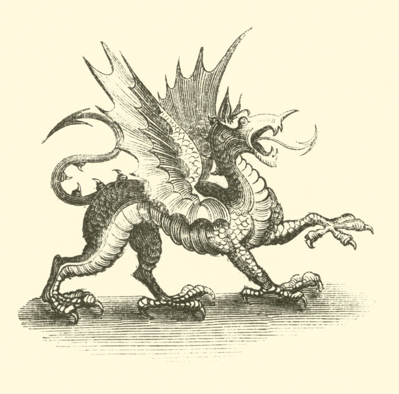 Drache von English School