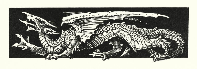Drache (Gravur) von English School
