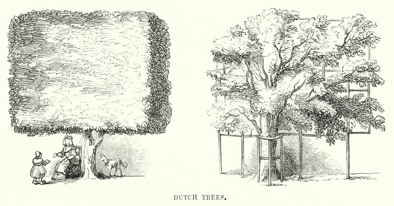 Holländische Bäume (Gravur) von English School