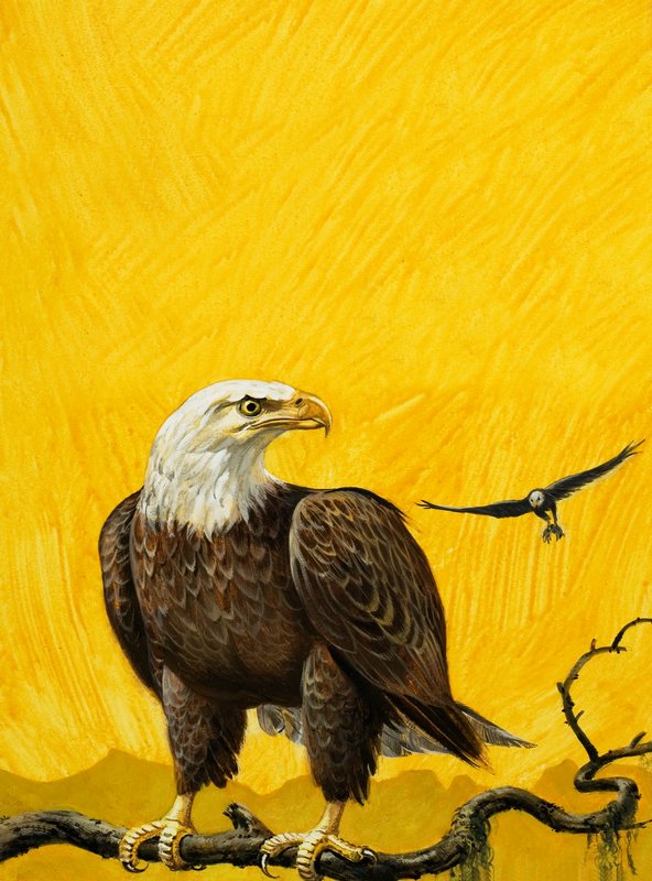 Adler von English School