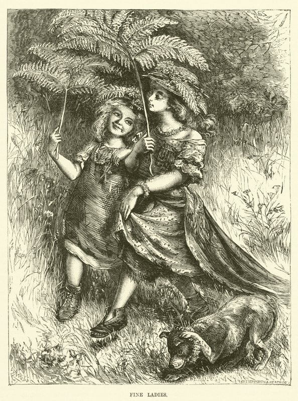 Feine Damen von English School