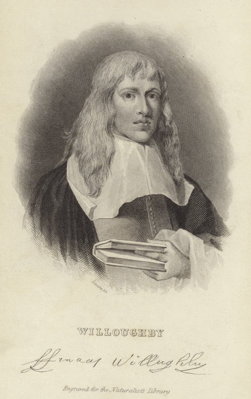 Francis Willughby von English School