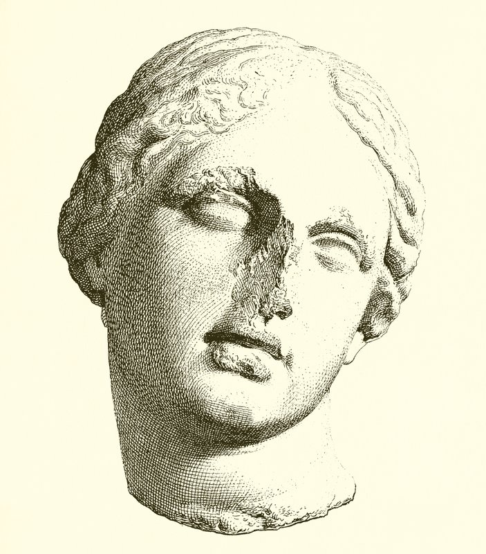 Kopf der Aphrodite von English School