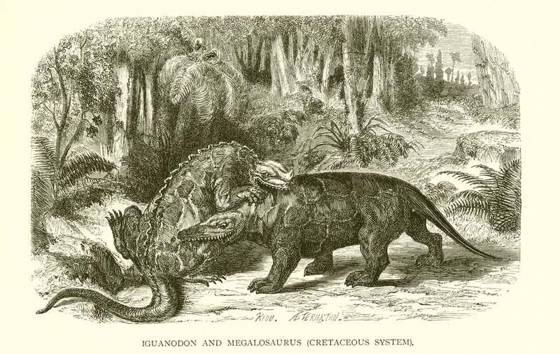 Iguanodon und Megalosaurus, Kreidezeit von English School