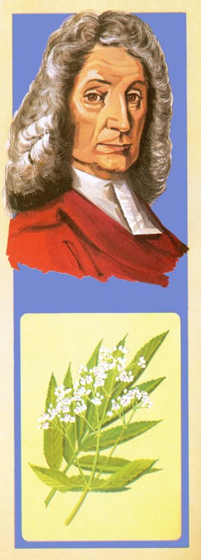 John Ray von English School