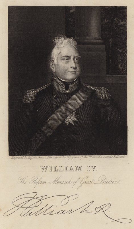 König Wilhelm IV von English School
