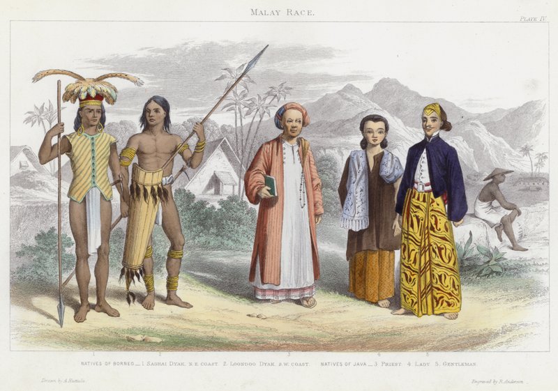 Malaiische Rasse von English School