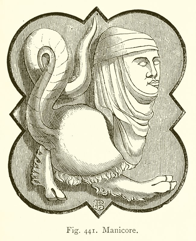 Manicore von English School