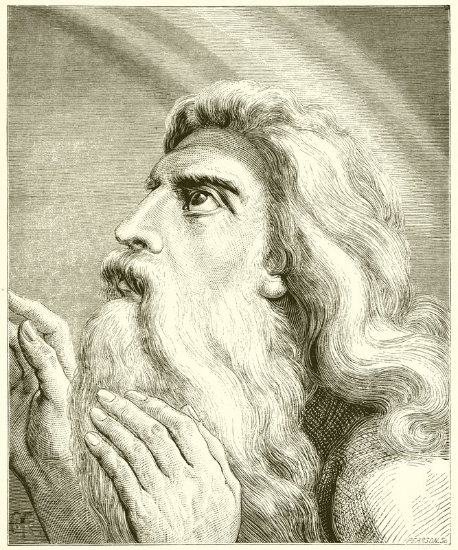 Noah von English School