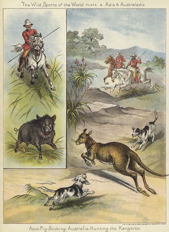 Schweinejagd und Kängurujagd von English School