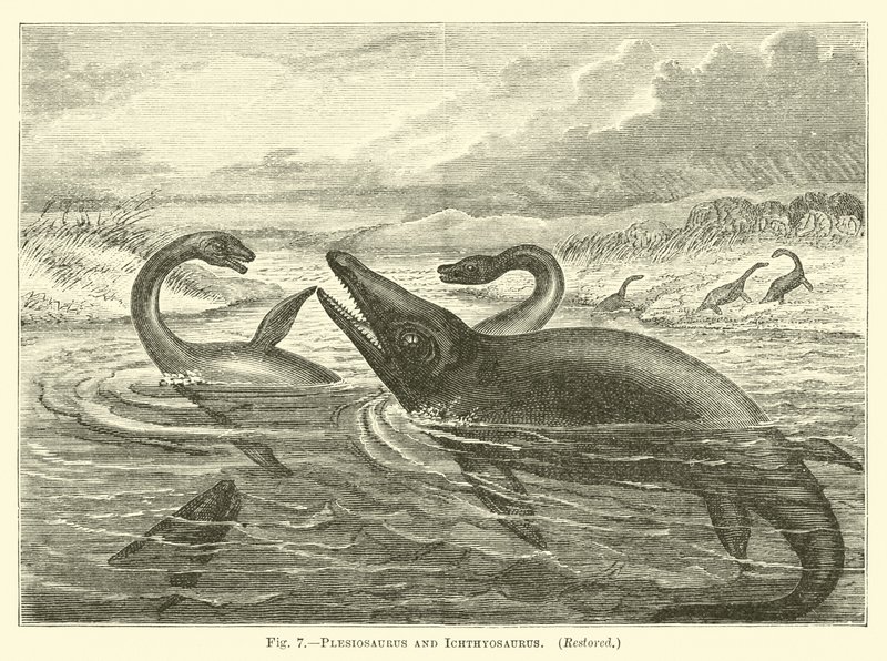 Plesiosaurus und Ichthyosaurus von English School