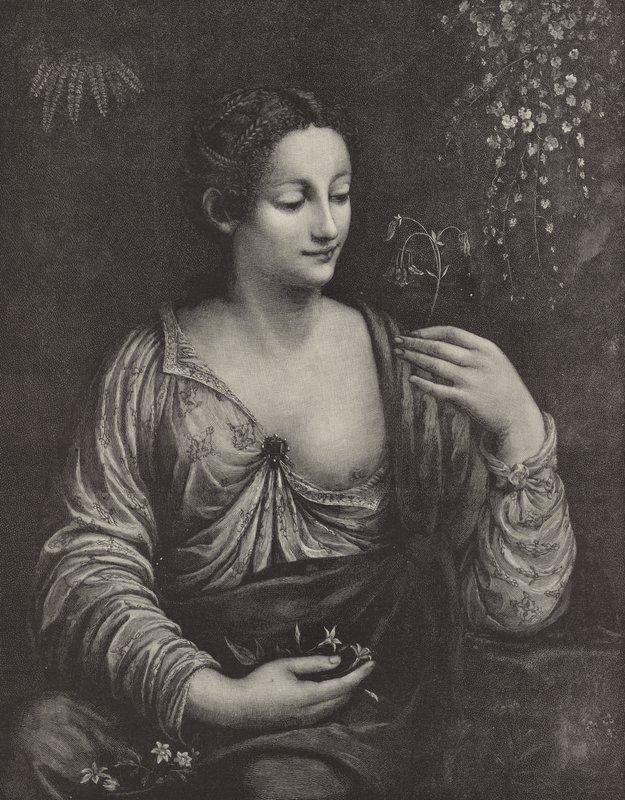 Porträt einer jungen Dame von English School