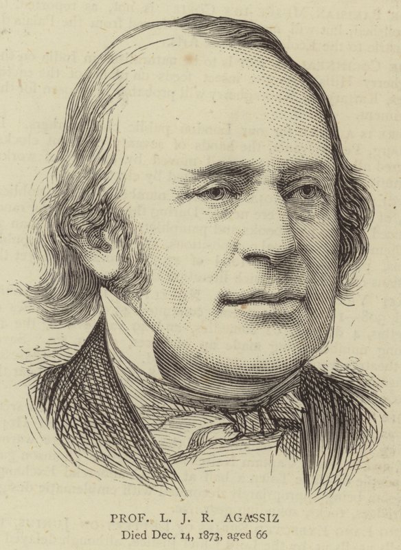 Professor L J R Agassiz (Stich) von English School