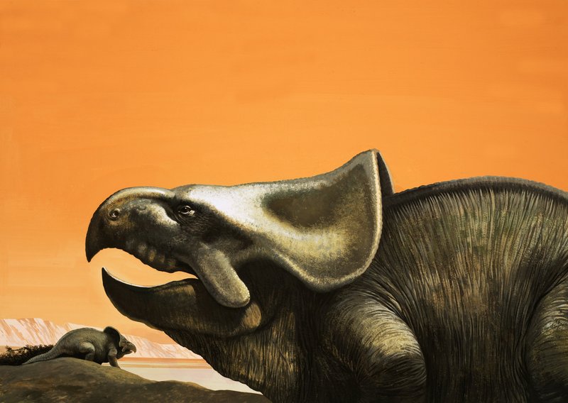 Protoceratops von English School