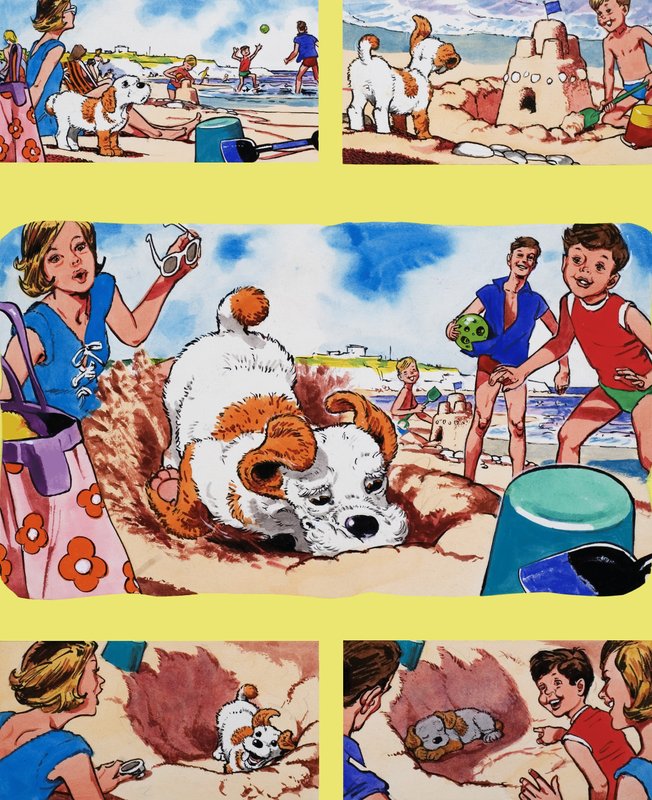 Welpe am Strand von English School
