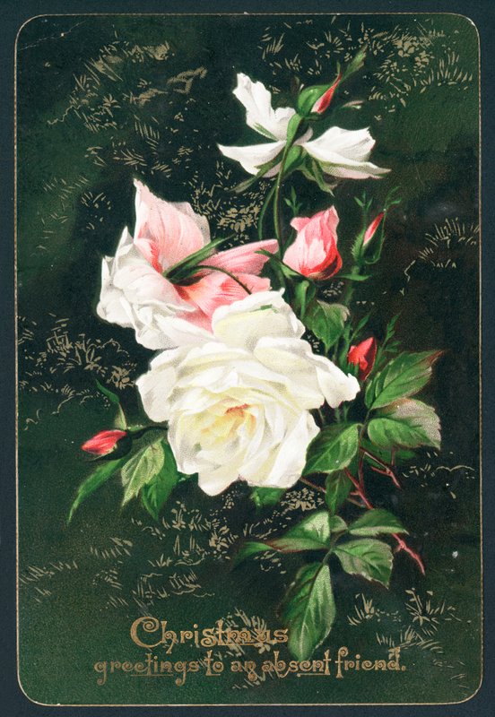 Rosen, Weihnachtskarte von English School