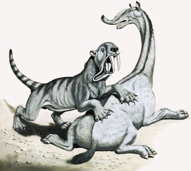 Säbelzahntiger greift unbekannte prähistorische Kreatur an von English School