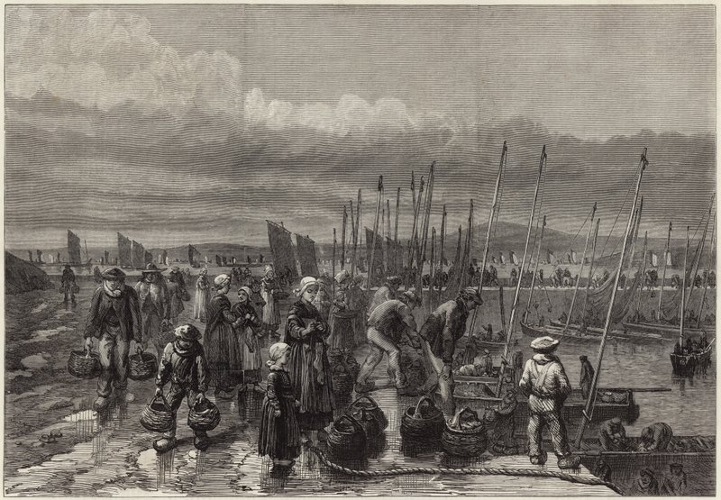 Sardinenfischerei an der Küste der Bretagne von English School