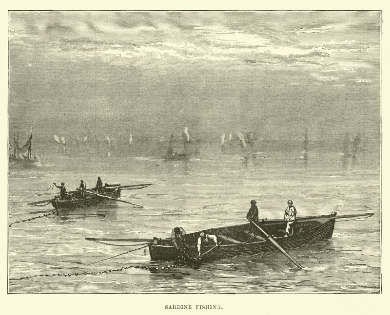 Sardinenfischen von English School