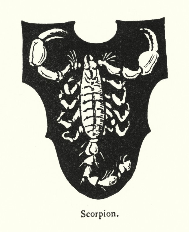 Skorpion (Gravur) von English School
