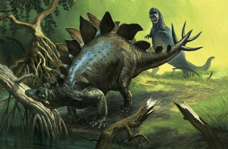 Stegosaurus von English School