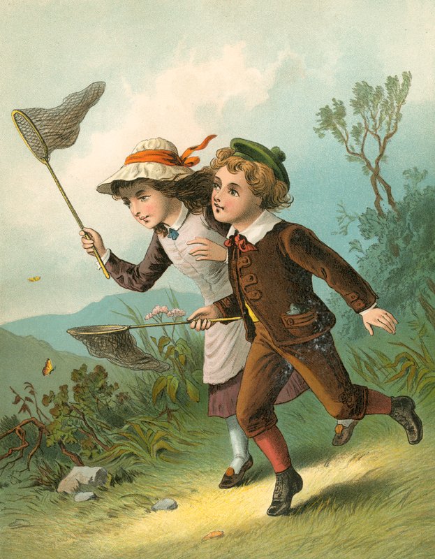 Die Schmetterlingsjagd von English School