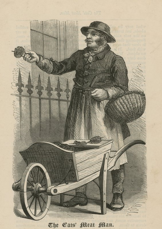 Der Katzenfleischmann von English School