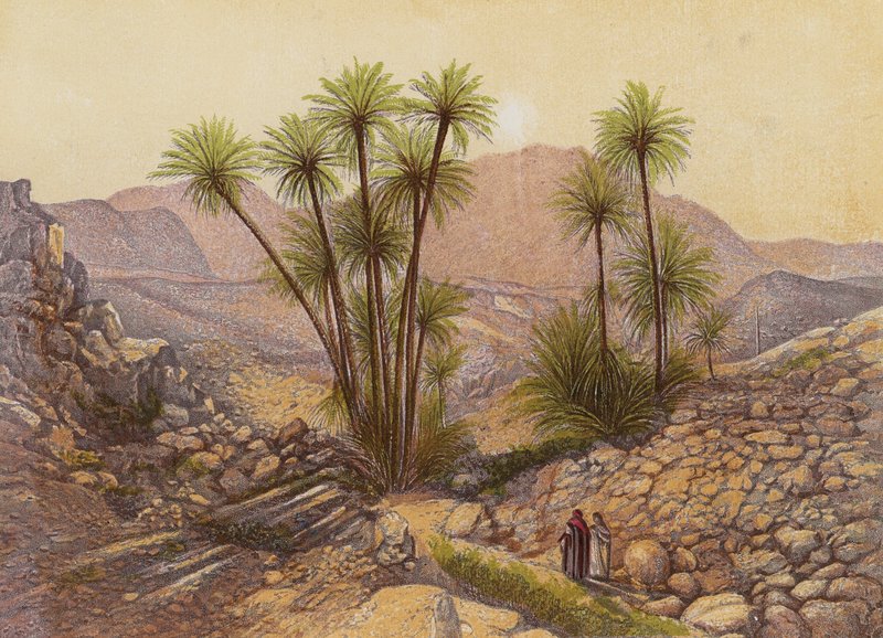 Die Wüste Sinai von English School