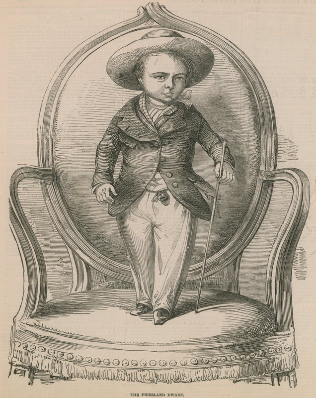 Der Friesland-Zwerg von English School