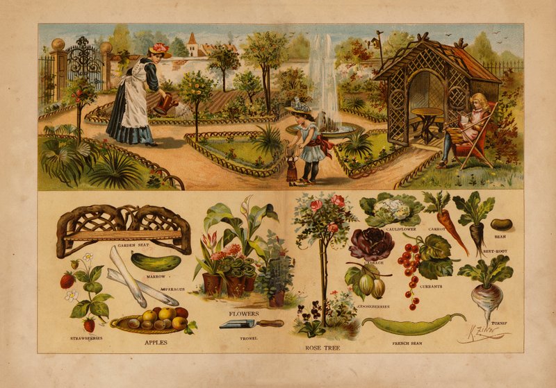 Der Garten von English School