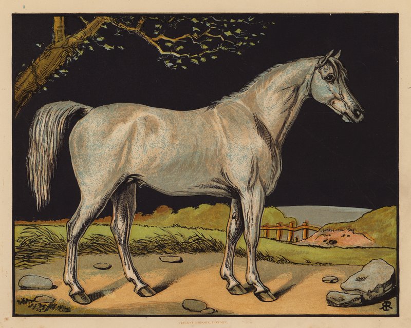 Das Pferd (Farblithografie) von English School