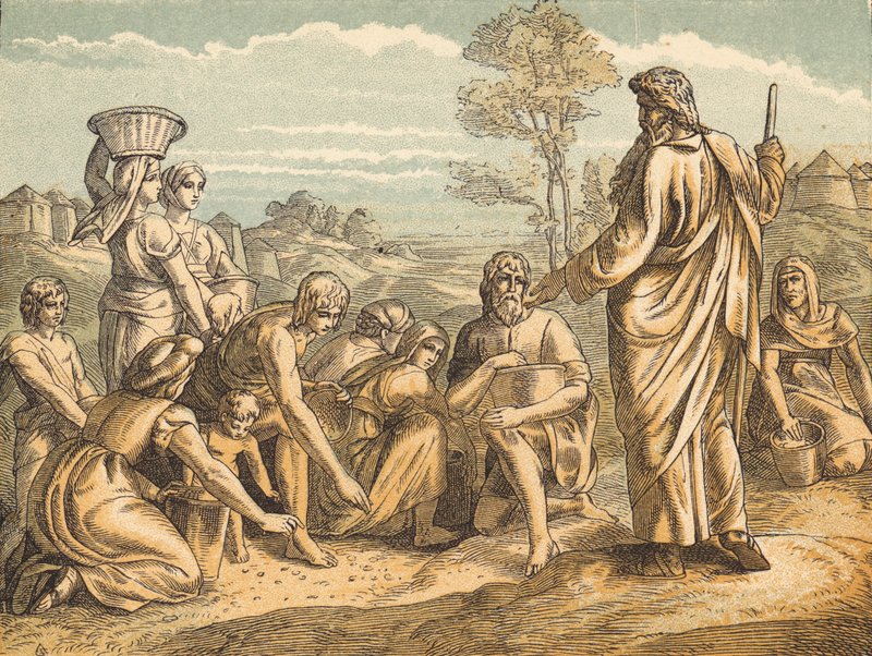 Das Manna von English School