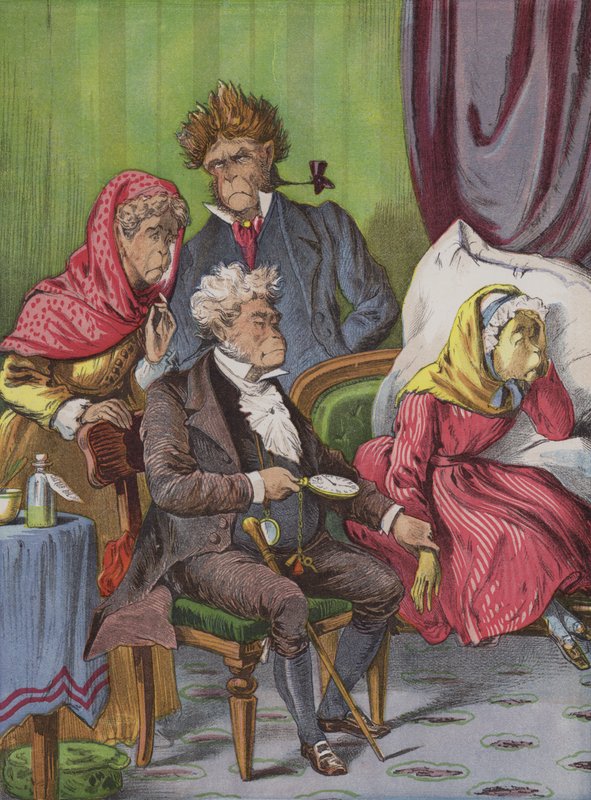 Der Arzt von English School