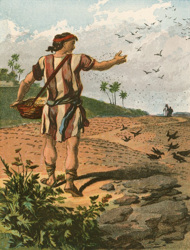 Der Sämann von English School